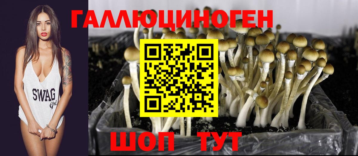 Псилоцибиновые грибы MAGIC MUSHROOMS Камень-на-Оби
