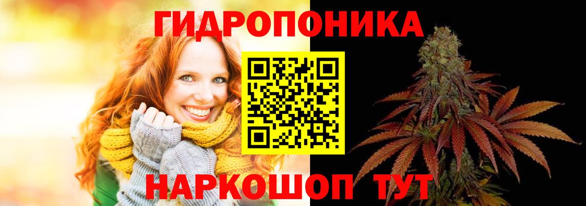 Бошки марихуана OG Kush  Вход с VPN  Камень-на-Оби  Канабис VHQ  Марихуана LSD WEED  Шишки марихуана MAZAR 